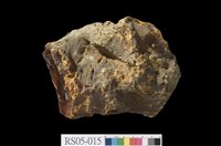 藏品(琥珀)的圖片